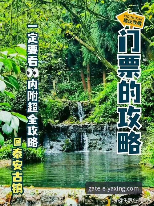 亚星体育平台新手入门全面解析：从注册到畅玩的完整指南